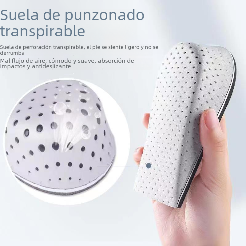 https://static.hzpdex.com/476897f1-7f7e-4314-a049-17ad467dde6a.png