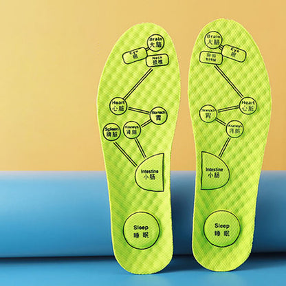 Palmilha Esportiva Absinto Anti-Odor